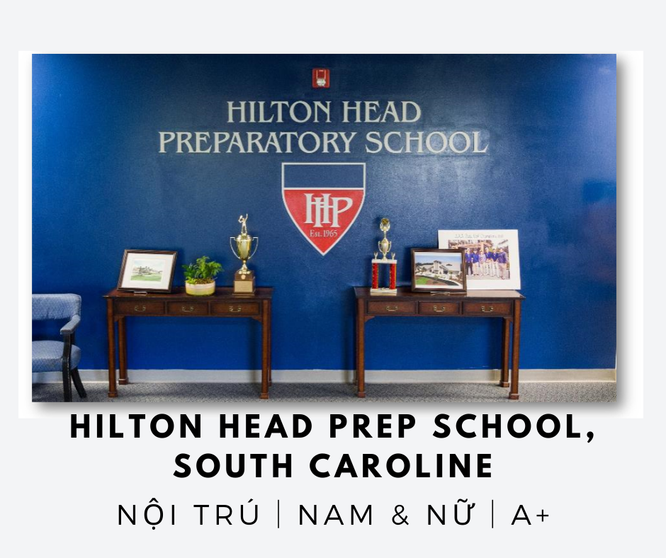 /img/newses/origin/Hilton-head.png