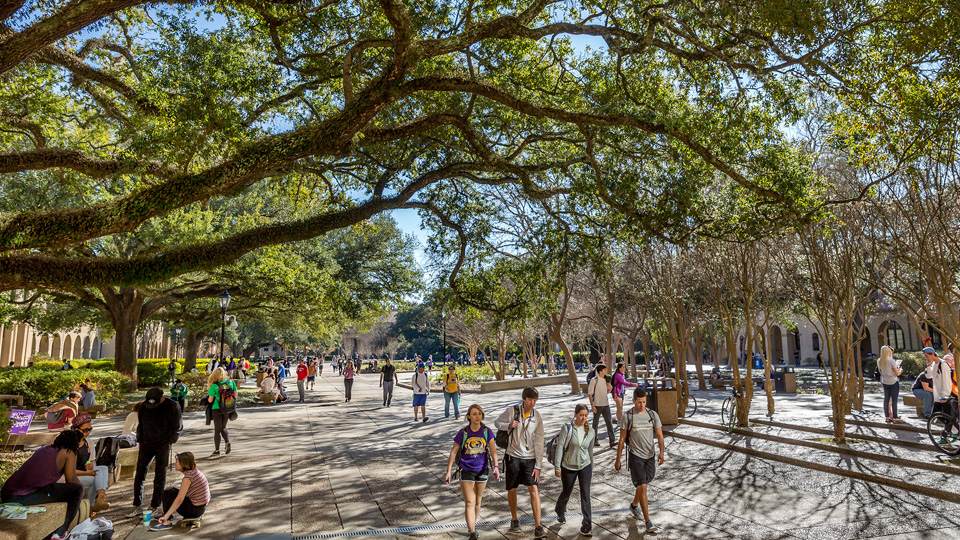 /img/newses/origin/LSU9261-Students-Walking-Under-Oaks-960x540-2.jpg