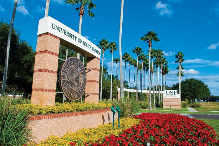 /img/newses/origin/into-south-florida.jpg