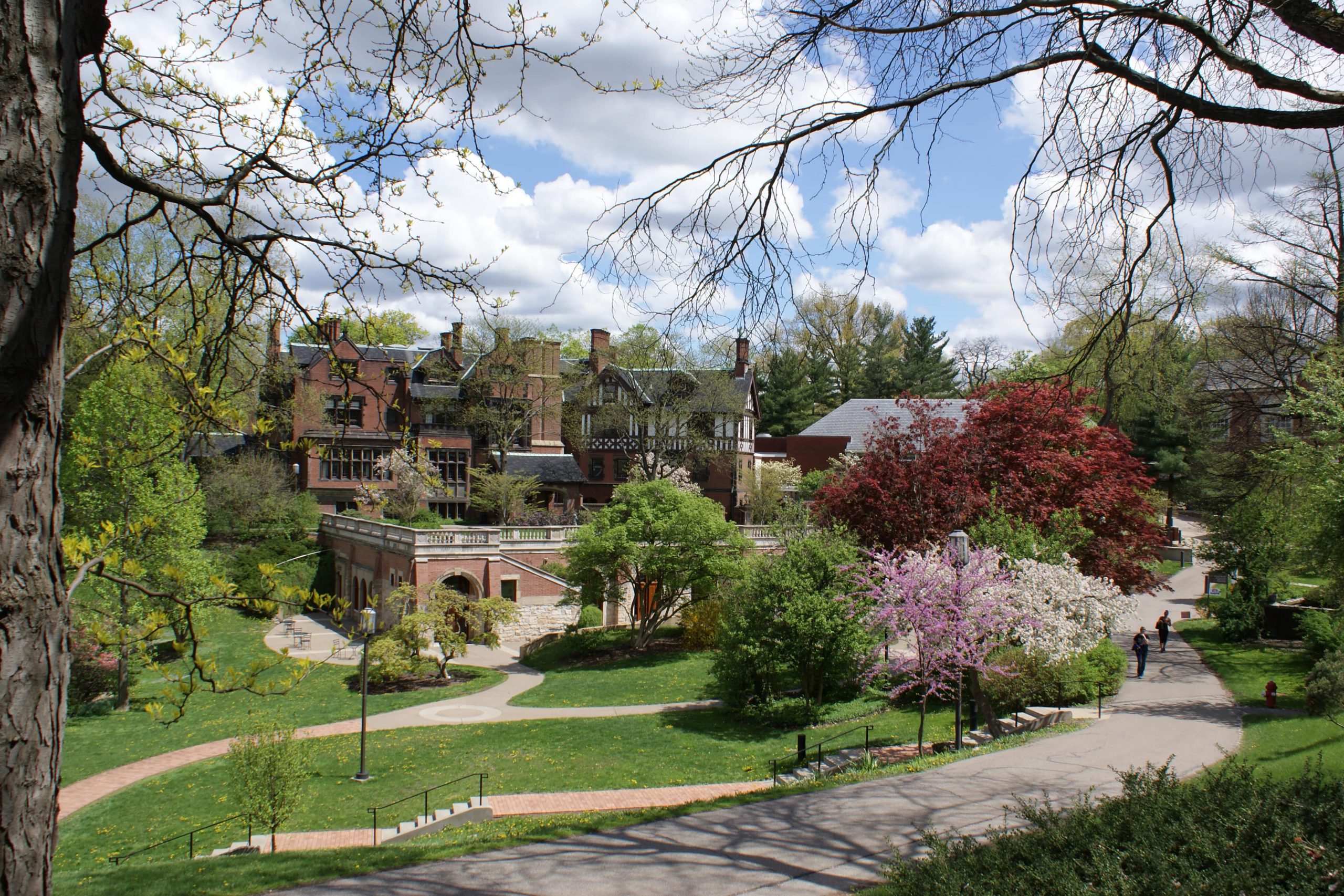 /img/newses/origin/shadyside-checkerboards-arboretum-min-scaled.jpg